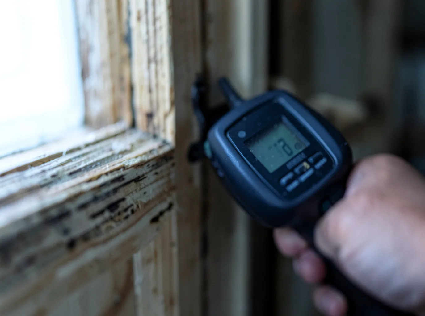 Moisture Inspection And Documentation in Baldwin, NY